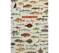 Записная книжка Academy Style А6+ 64 листа интегр -EAC мат лам Рыбы 11142