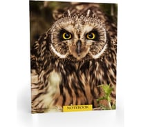 Записная книжка Academy Style А6 96 листов 7БЦ -EAC мат лам с резинкой Филин 11361