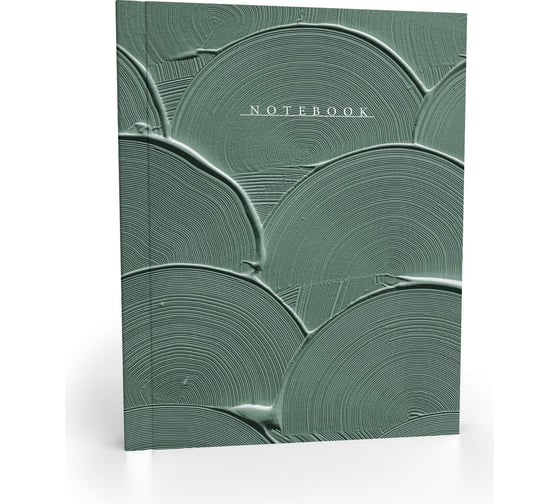 Записная книжка Academy Style А6+ 64 листа интегр -EAC мат лам Выкрас 11144