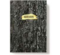 Записная книжка Academy Style А5 96 листов 7БЦ -EAC мат лам тисн фольг Графит Кора 13437