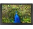 Фоторамка DIGMA PF-1043 10.1 IPS, 1280x800, черный пластик, ПДУ, видео 1169215 2