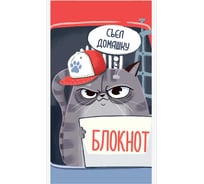 Блокнот Феникс + Кот нарушитель А6, 40 л, блок - белый офсет 60 г/кв.м., клетка, мягкий переплет 1 скоба 63066