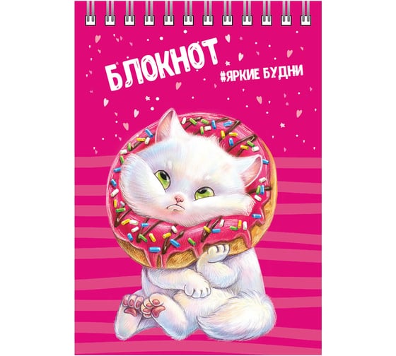 Блокнот Феникс + Кот А6, 80 л, блок - белый офсет 65 г/кв.м., клетка, гребень по короткой стороне, УФ-лак сплошной 64305 1