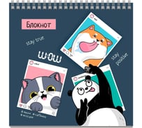 Блокнот Феникс + Селфи 140х140 мм, 60 л, блок - белый офсет 65 г/кв.м., клетка, гребень 64401