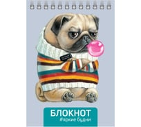 Блокнот Феникс + Мопс А6, 80 л, блок - белый офсет 65 г/кв.м., клетка, гребень по короткой стороне, УФ-лак сплошной 64306