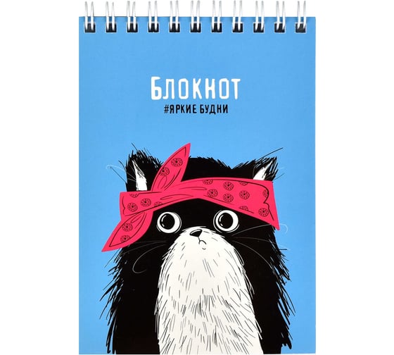 Блокнот Феникс + Хип-хоп кот А6, 80 л, блок - белый офсет 65 г/кв.м., клетка, гребень по короткой стороне, УФ-лак сплошной 62784 1