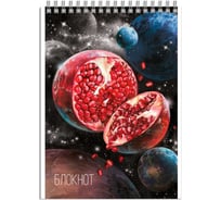 Блокнот Феникс + Сочные планеты А6, 120 л, блок - белый офсет 65 г/кв.м., клетка, гребень по короткой стороне, сплошной УФ-лак 64469