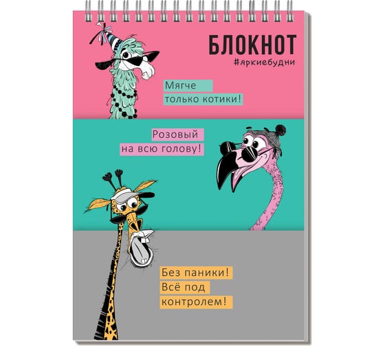 Блокнот Феникс + Упс компания А5, 60 л, блок - белый офсет 60 г/кв.м., клетка, гребень по короткой стороне, сплошной УФ-лак 64298
