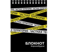 Блокнот Феникс + Частная территория А6, 80 л, блок - белый офсет 65 г/кв.м., клетка, гребень по короткой стороне, УФ-лак сплошной 64311