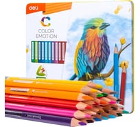 Цветные карандаши DELI EC00225 Color Emotion трехгранные, липа, 24 цвета, металлическая коробка, 24 шт 13623 1028822