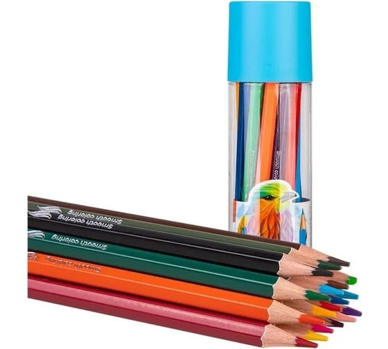 Цветные карандаши DELI EC111-18 Color Emotion шестигранные, липа, 18 цветов, пластиковая туба, 18 шт 13623 1478868