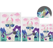 Папка-уголок для документов Феникс + АЛЬПАКА полипропилен, 3 шт., A4 31x23 см; А5 22x16.5 см; А6 17,5x12.5 см, 3 отделения, внутренние папки-уголки 51176