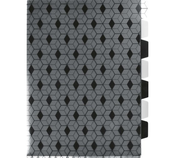 Папка-уголок для документов Феникс + ГЕОМЕТРИЯ полипропилен, А4, 22x31 см, 7 отделений, УФ-печать 56703 1