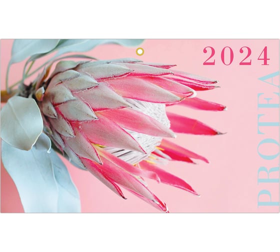 Квартальный календарь BRAUBERG на 2024 г., 3 блока, 3 гребня, с бегунком, мелованная бумага, Protea 115290