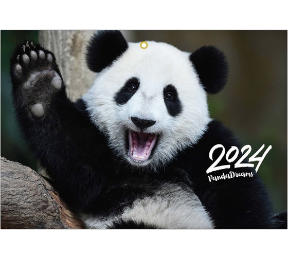 Квартальный календарь BRAUBERG на 2024 г., 3 блока 1 гребень с бегунком, мелованная бумага, Happy panda 115312