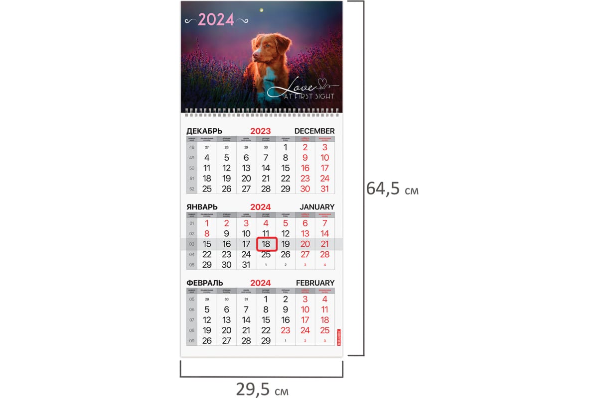 Квартальный календарь BRAUBERG на 2024 г., 3 блока, 1 гребень, с бегунком,  офсет, Собачка 115282 - выгодная цена, отзывы, характеристики, фото -  купить в Москве и РФ