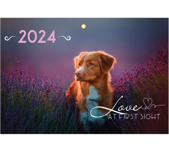Квартальный календарь BRAUBERG на 2024 г., 3 блока, 1 гребень, с бегунком, офсет, Собачка 115282