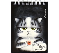 Блокнот Феникс + Грустный кот А7, 40 л, блок - белый офсет 65 г/кв.м., клетка, гребень, УФ-лак сплошной 64393