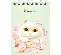 Блокнот Феникс + Кот с пончиком А7, 40 л,блок - белый офсет 65 г/кв.м., клетка, гребень, УФ-лак сплошной 64385