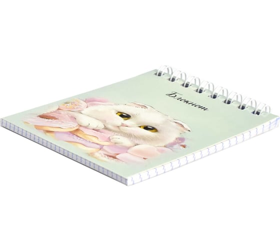 Блокнот Феникс + Кот с пончиком А7, 40 л,блок - белый офсет 65 г/кв.м., клетка, гребень, УФ-лак сплошной 64385