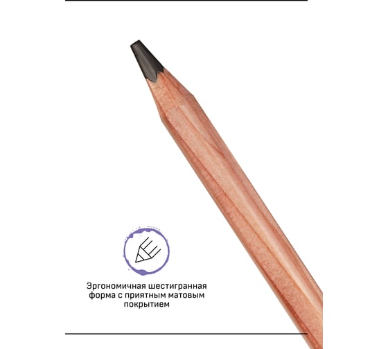 Набор карандашей Гамма 10b-2h 12шт, европодвес 130422_10B-2H