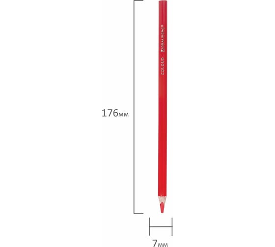 Цветные карандаши BRAUBERG Premium пластиковые, 24 цвета, 2 чернографитных карандаша 181937