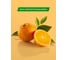 Ополаскиватель Biomed VITAFRESH/ВИТАФРЕШ 250 мл 109.51154.0101 4