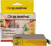 Струйный картридж T0483 для Epson Stylus Photo R200/R220/R300/R320/R340/RX500 Colouring на водной основе Magenta 13 мл CG_T048_M