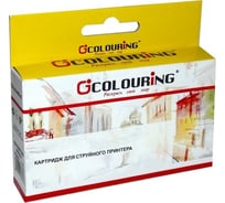 Струйный картридж T0924 для Epson Stylus T26/T27/C91/TX106/TX109/TX117/TX119/C240/CX4300 на водной основе Yellow 5,5 мл CG_0924N_Y