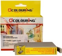 Струйный картридж T0485 для Epson Stylus Photo R200/R220/R300/R320/R340/RX500 Colouring на водной основе Light Cyan 13 мл CG_T048_LC