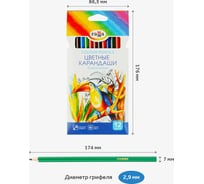 Цветные карандаши Гамма классические, 12цв., заточен., картон. упаковка, европодвес 050918_02_02