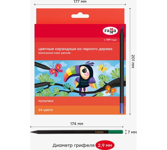 Цветные карандаши Гамма мультики, 24цв., черное дерево,заточен., картон. упак., европодвес 80220222
