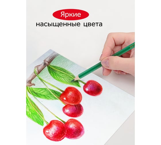 Цветные карандаши Гамма мультики, 12цв., трехгранные, заточен., картон. упаковка, европодвес 050918_07