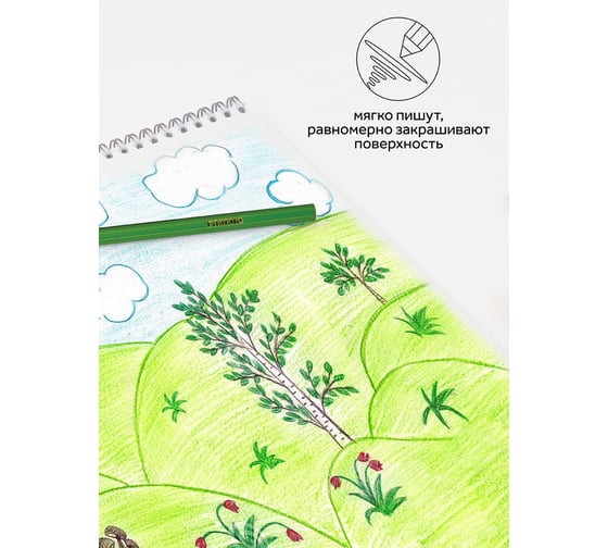 Цветные карандаши Гамма классические, 24цв., заточен., картон. упаковка, европодвес 050918_04