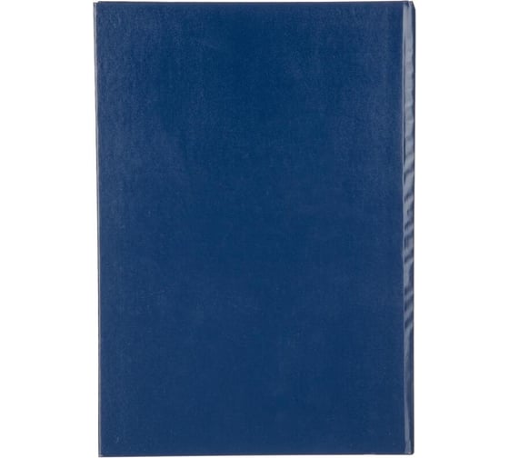 Книга учета Attache а4, 128 л, клетка, офсет, бумвинил 1805247