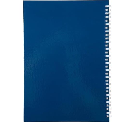 Книга учета Attache а4, 96 л, клетка, офсет, 7бц, спираль 1805248