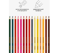 Цветные карандаши Гамма Мультики, 24цв., трехгранные, заточенные, европодвес 290122_24
