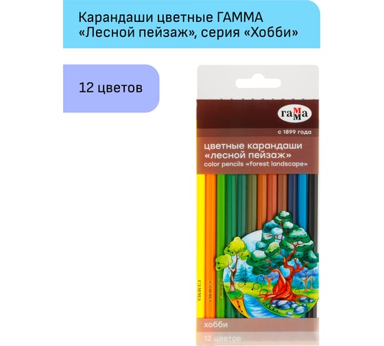 Цветные карандаши Гамма хобби. лесной пейзаж, 12цв., заточен., пвх, европодвес 280620214