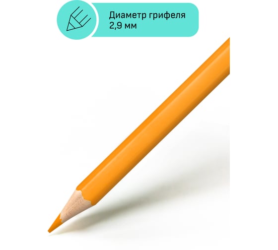 Цветные карандаши Гамма хобби. лесной пейзаж, 12цв., заточен., пвх, европодвес 280620214