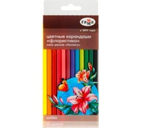 Цветные карандаши Гамма хобби. флористика, 12цв., заточен., пвх, европодвес 280620215