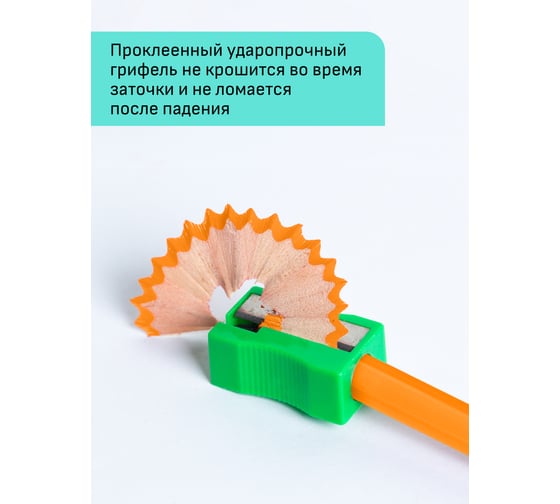 Цветные карандаши Гамма хобби. флористика, 12цв., заточен., пвх, европодвес 280620215