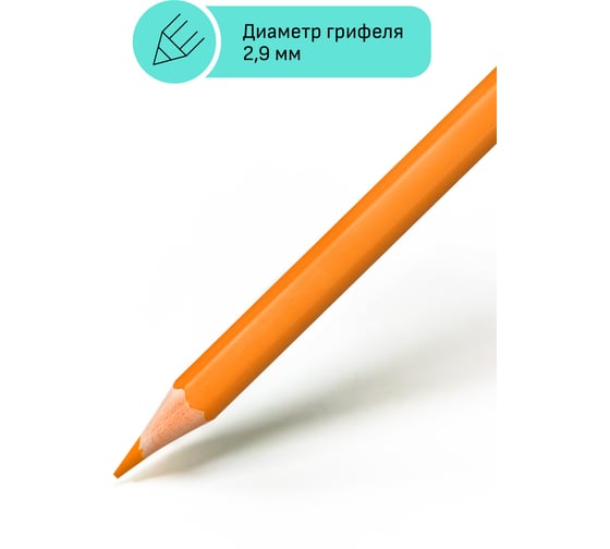 Цветные карандаши Гамма хобби. флористика, 12цв., заточен., пвх, европодвес 280620215