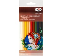 Цветные карандаши Гамма хобби. портрет, 12цв., заточен., пвх, европодвес 280620216