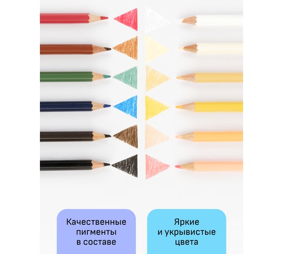 Цветные карандаши Гамма хобби. портрет, 12цв., заточен., пвх, европодвес 280620216