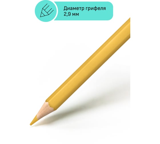 Цветные карандаши Гамма хобби. портрет, 12цв., заточен., пвх, европодвес 280620216