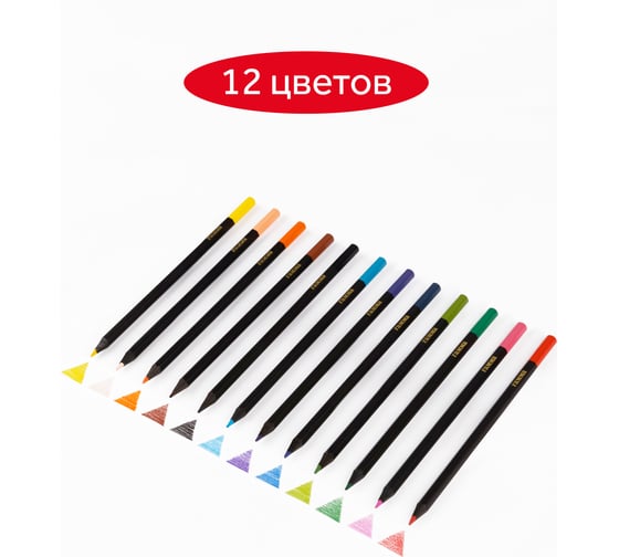 Цветные карандаши Гамма мультики, 12цв., черное дерево,заточен., картон. упак., европодвес 80220221