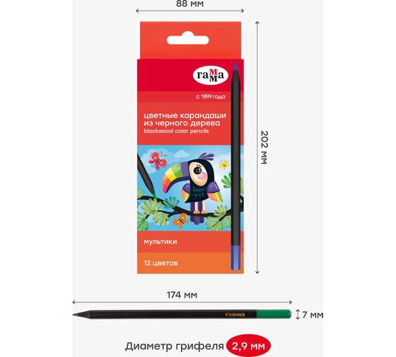 Цветные карандаши Гамма мультики, 12цв., черное дерево,заточен., картон. упак., европодвес 80220221