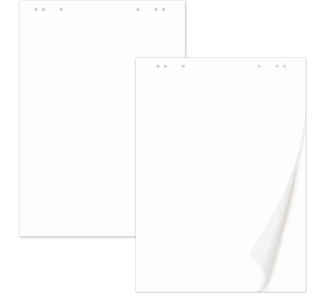 Блокноты для флипчарта, комплект 5 шт., 20 л., чистые, 67,5х98 см, 80 г/м2, BRAUBERG 124098