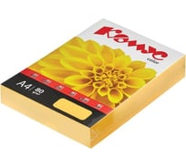 Цветная бумага Комус color мандарин интенсив, 80 г, а4, 500 л 619920