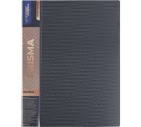 Папка Expert Complete с файлами-вкладышами 6 шт по 40 листов A4 40 мкм PRISMA 600 мкм 20 мм серый 678174